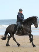 Image 105 in FRIESIANS ON HOLKHAM BEACH. 15 MAY 2016