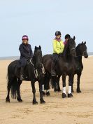 Image 11 in FRIESIANS ON HOLKHAM BEACH. 15 MAY 2016