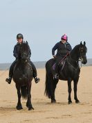 Image 13 in FRIESIANS ON HOLKHAM BEACH. 15 MAY 2016