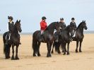 Image 14 in FRIESIANS ON HOLKHAM BEACH. 15 MAY 2016