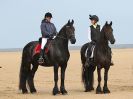 Image 15 in FRIESIANS ON HOLKHAM BEACH. 15 MAY 2016