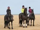 Image 16 in FRIESIANS ON HOLKHAM BEACH. 15 MAY 2016