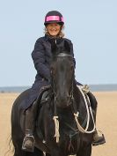 Image 17 in FRIESIANS ON HOLKHAM BEACH. 15 MAY 2016