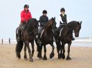 Image 2 in FRIESIANS ON HOLKHAM BEACH. 15 MAY 2016