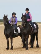 Image 20 in FRIESIANS ON HOLKHAM BEACH. 15 MAY 2016
