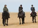 Image 21 in FRIESIANS ON HOLKHAM BEACH. 15 MAY 2016