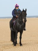 Image 23 in FRIESIANS ON HOLKHAM BEACH. 15 MAY 2016