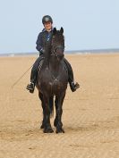 Image 24 in FRIESIANS ON HOLKHAM BEACH. 15 MAY 2016