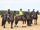 Image 25 in FRIESIANS ON HOLKHAM BEACH. 15 MAY 2016