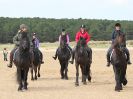 Image 26 in FRIESIANS ON HOLKHAM BEACH. 15 MAY 2016