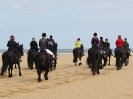 Image 27 in FRIESIANS ON HOLKHAM BEACH. 15 MAY 2016