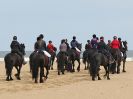 Image 28 in FRIESIANS ON HOLKHAM BEACH. 15 MAY 2016