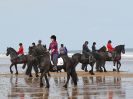 Image 29 in FRIESIANS ON HOLKHAM BEACH. 15 MAY 2016