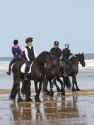 Image 30 in FRIESIANS ON HOLKHAM BEACH. 15 MAY 2016