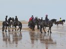 Image 31 in FRIESIANS ON HOLKHAM BEACH. 15 MAY 2016