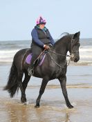 Image 32 in FRIESIANS ON HOLKHAM BEACH. 15 MAY 2016