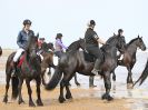 Image 33 in FRIESIANS ON HOLKHAM BEACH. 15 MAY 2016