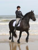 Image 34 in FRIESIANS ON HOLKHAM BEACH. 15 MAY 2016