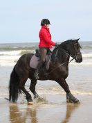 Image 35 in FRIESIANS ON HOLKHAM BEACH. 15 MAY 2016