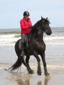 Image 36 in FRIESIANS ON HOLKHAM BEACH. 15 MAY 2016