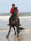 Image 37 in FRIESIANS ON HOLKHAM BEACH. 15 MAY 2016