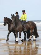 Image 39 in FRIESIANS ON HOLKHAM BEACH. 15 MAY 2016
