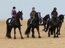 Image 4 in FRIESIANS ON HOLKHAM BEACH. 15 MAY 2016