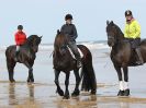 Image 40 in FRIESIANS ON HOLKHAM BEACH. 15 MAY 2016