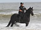 Image 42 in FRIESIANS ON HOLKHAM BEACH. 15 MAY 2016