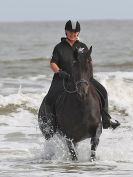 Image 43 in FRIESIANS ON HOLKHAM BEACH. 15 MAY 2016