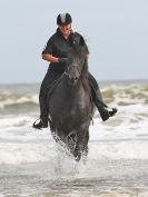 Image 44 in FRIESIANS ON HOLKHAM BEACH. 15 MAY 2016