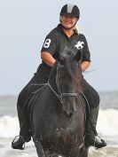 Image 46 in FRIESIANS ON HOLKHAM BEACH. 15 MAY 2016