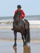 Image 47 in FRIESIANS ON HOLKHAM BEACH. 15 MAY 2016