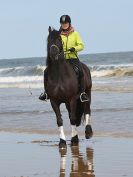 Image 48 in FRIESIANS ON HOLKHAM BEACH. 15 MAY 2016