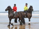 Image 49 in FRIESIANS ON HOLKHAM BEACH. 15 MAY 2016