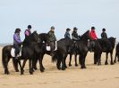 Image 5 in FRIESIANS ON HOLKHAM BEACH. 15 MAY 2016