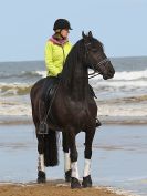Image 50 in FRIESIANS ON HOLKHAM BEACH. 15 MAY 2016