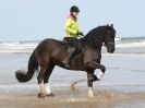Image 54 in FRIESIANS ON HOLKHAM BEACH. 15 MAY 2016