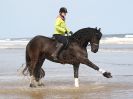Image 55 in FRIESIANS ON HOLKHAM BEACH. 15 MAY 2016