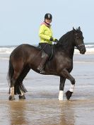 Image 56 in FRIESIANS ON HOLKHAM BEACH. 15 MAY 2016
