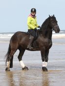 Image 57 in FRIESIANS ON HOLKHAM BEACH. 15 MAY 2016