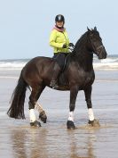 Image 58 in FRIESIANS ON HOLKHAM BEACH. 15 MAY 2016
