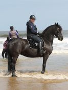 Image 59 in FRIESIANS ON HOLKHAM BEACH. 15 MAY 2016
