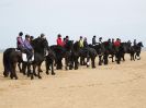 Image 6 in FRIESIANS ON HOLKHAM BEACH. 15 MAY 2016