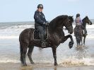 Image 61 in FRIESIANS ON HOLKHAM BEACH. 15 MAY 2016