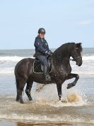 Image 62 in FRIESIANS ON HOLKHAM BEACH. 15 MAY 2016