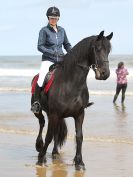 Image 64 in FRIESIANS ON HOLKHAM BEACH. 15 MAY 2016