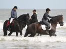 Image 65 in FRIESIANS ON HOLKHAM BEACH. 15 MAY 2016