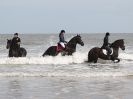 Image 66 in FRIESIANS ON HOLKHAM BEACH. 15 MAY 2016