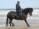 Image 68 in FRIESIANS ON HOLKHAM BEACH. 15 MAY 2016